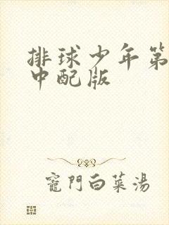 排球少年第三季中配版