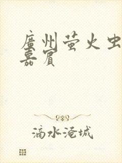 广州萤火虫漫展嘉宾