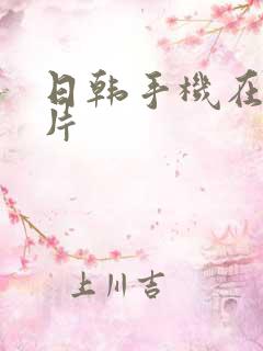 日韩手机在线看片