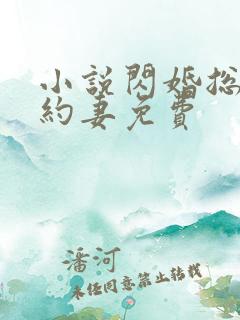 小说闪婚总裁契约妻免费