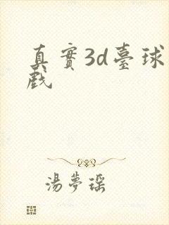 真实3d台球游戏