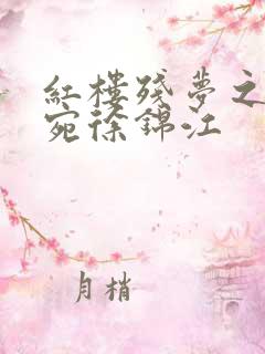 红楼残梦之董小宛徐锦江