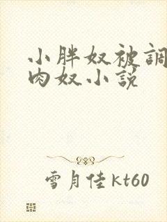 小胖奴被调教成肉奴小说