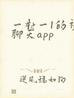 一对一1的视频聊天app