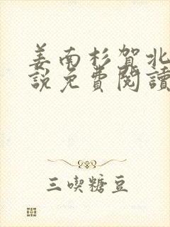 姜南杉贺北铮小说免费阅读最新章节