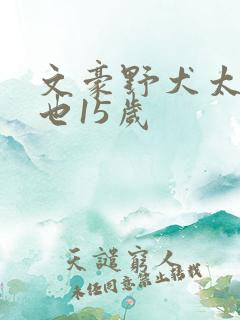 文豪野犬太宰中也15岁