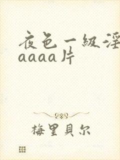 夜色一级淫片aaaaa片
