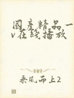 国产精品一级av在线播放