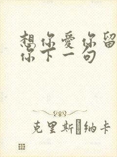 想你爱你留不住你下一句