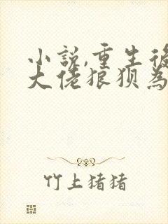 小说,重生后与大佬狼狈为奸