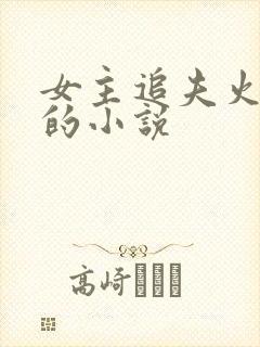 女主追夫火葬场的小说