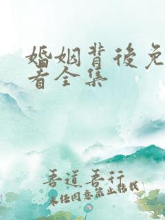 婚姻背后免费观看全集