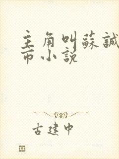 主角叫苏诚的都市小说