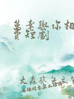 万幸与你相逢免费短剧