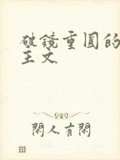 破镜重圆的双男主文