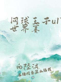 网球王子u17世界赛