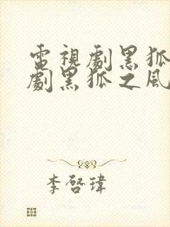 电视剧黑狐电视剧黑狐之风影