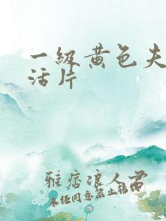 一级黄色夫妻生活片