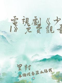 电视剧《少年派1》免费观看