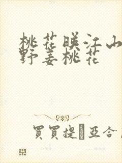 桃花映江山沈在野姜桃花