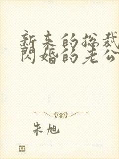 新来的总裁竟是闪婚的老公无弹窗