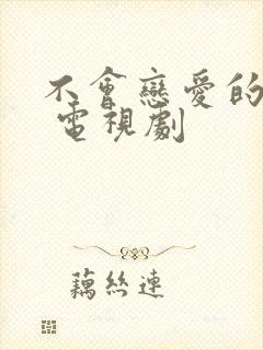 不会恋爱的我们 电视剧