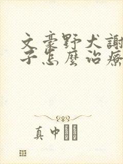 文豪野犬谢野晶子怎么治疗
