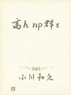 高h np群x