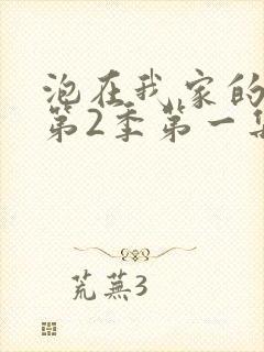 泡在我家的辣妹第2季第一集