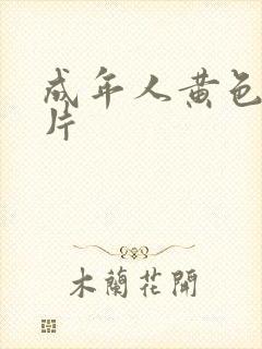 成年人黄色录像片