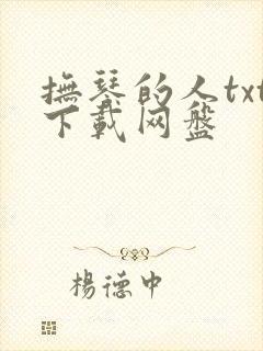 抚琴的人txt下载网盘