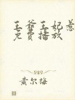 王爷王妃惹不得免费播放