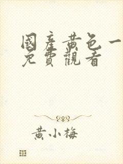 国产黄色一级片免费观看