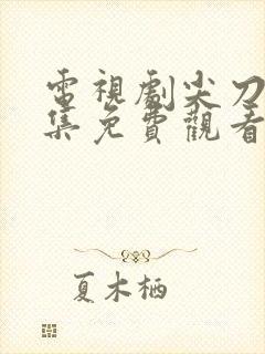 电视剧尖刀队全集免费观看高清