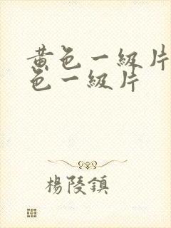 黄色一级片,黄色一级片