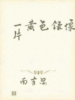 一黄色录像一级片