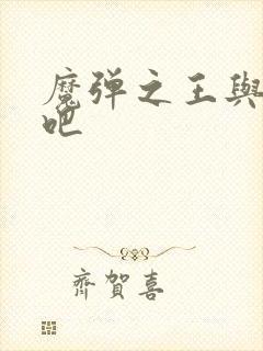 魔弹之王与战姬吧