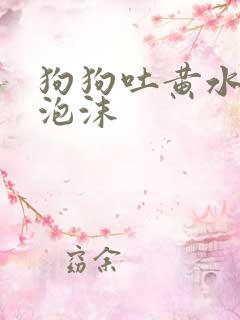 狗狗吐黄水带点泡沫