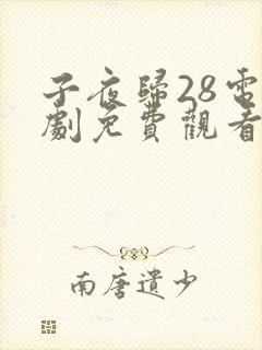 子夜归28电视剧免费观看全集高清