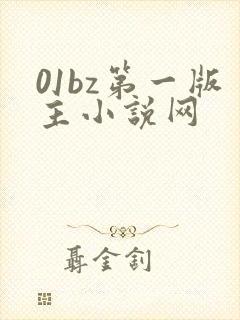 01bz第一版主小说网