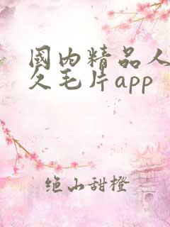 国内精品人妻久久毛片app