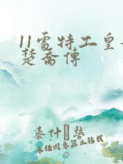 11处特工皇妃楚乔传