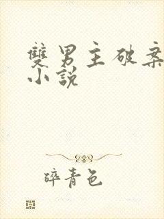 双男主破案刑侦小说