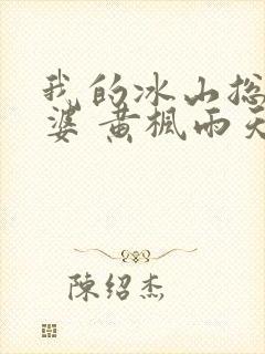 我的冰山总裁老婆 黄枫雨天