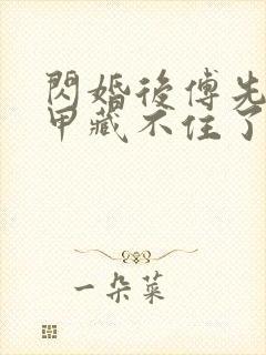 闪婚后傅先生马甲藏不住了8集