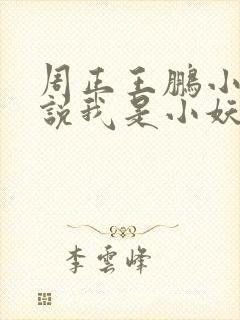 周正王鹏小说他说我是小妖精