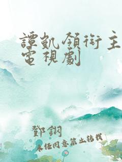 谭凯领衔主演的电视剧