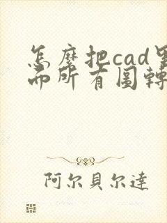 怎么把cad里面所有图转成pdf格式