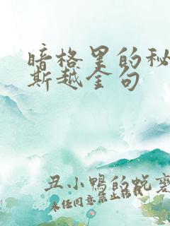 暗格里的秘密周斯越金句