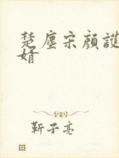 楚尘宋颜护国神婿